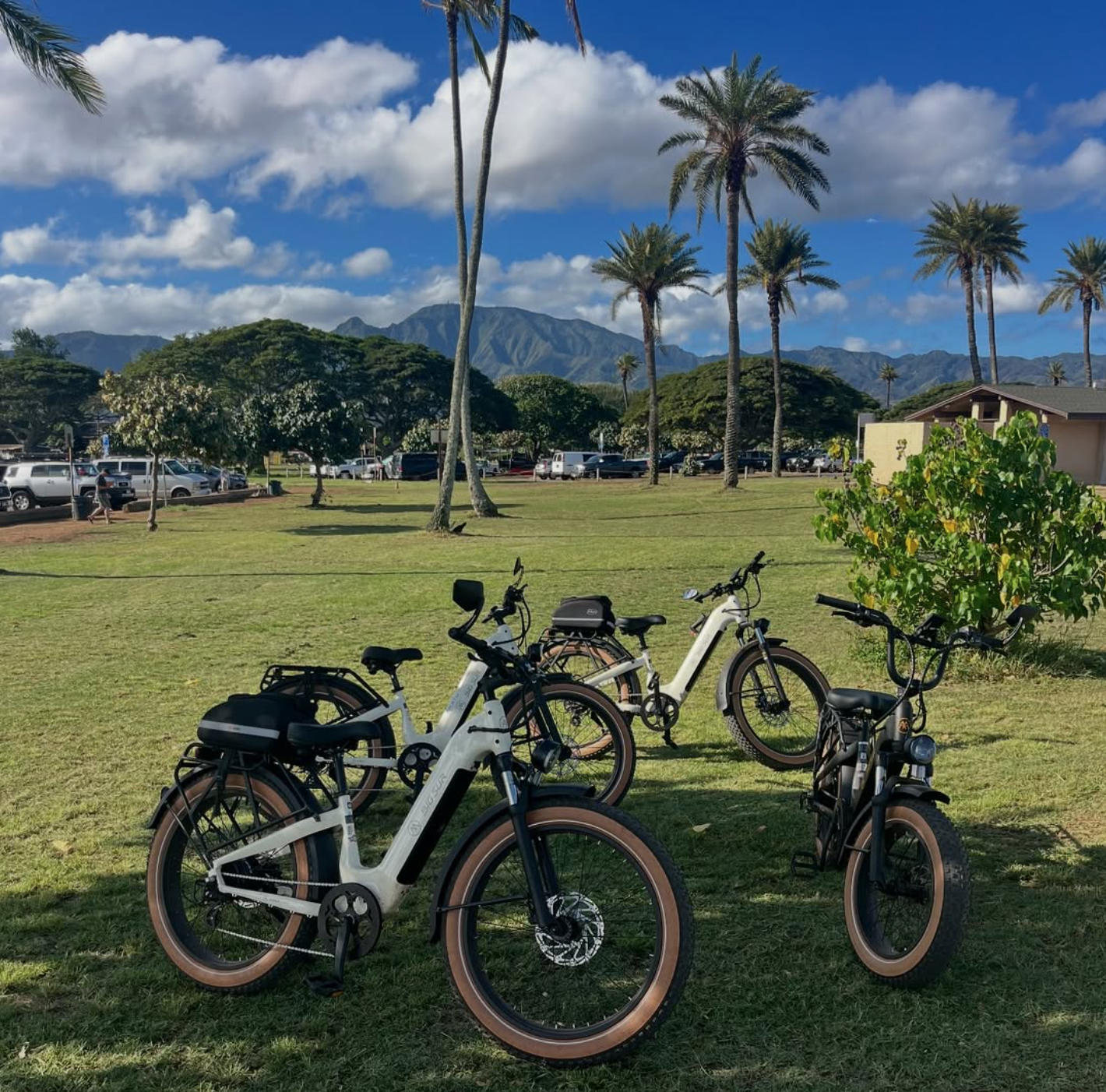 North Shore Bike Tours